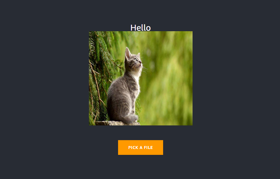 A final image of a cat is displayed with a button to pick a file