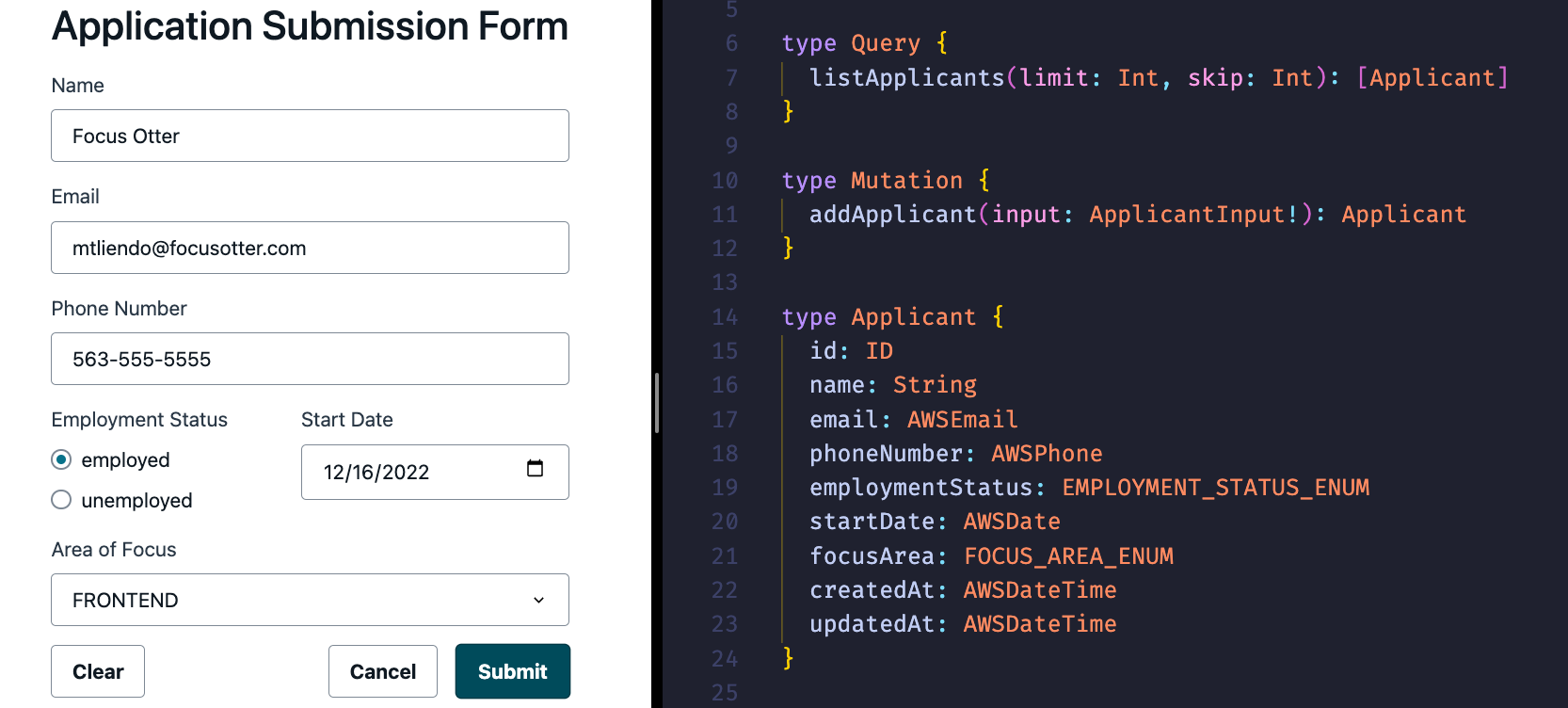 frontend form with schema