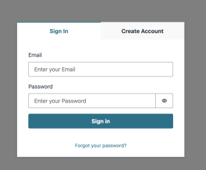 Authenticator sign in page