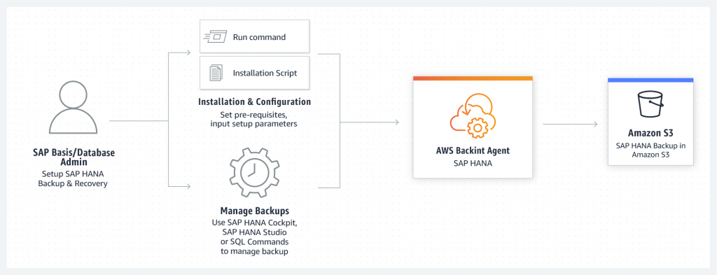 BackInt architecture diagram