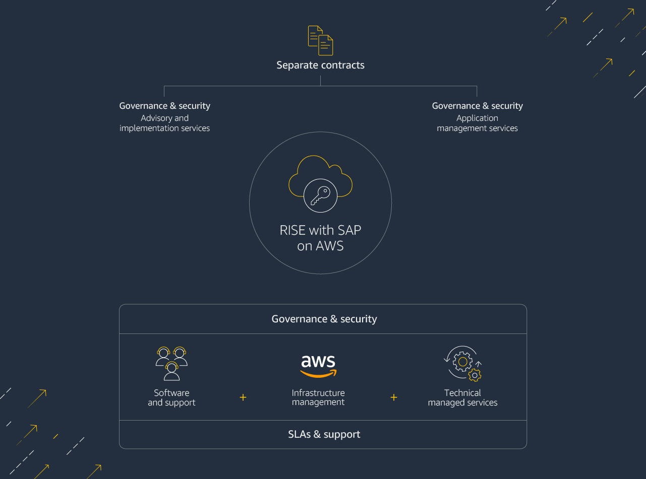 sap business one vs sap ecc