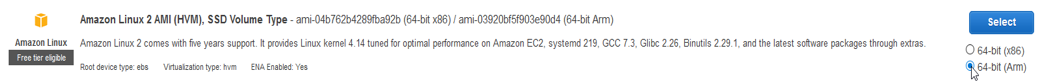 use Amazon Linux 2 because we want an AWS Graviton-based A1 instance we’re selecting the 64-bit (Arm)