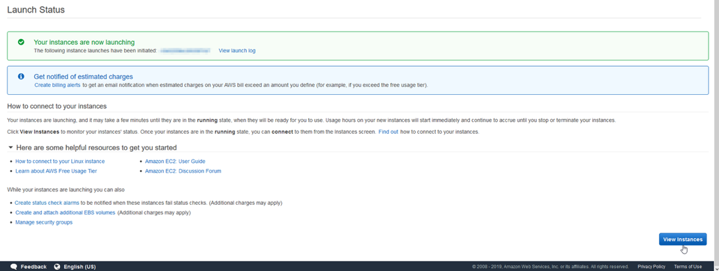 click on “View Instances” to see the status of instances