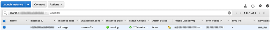 Once you click on “View Instances,” you can see that your newly launched instance is now in the Running state
