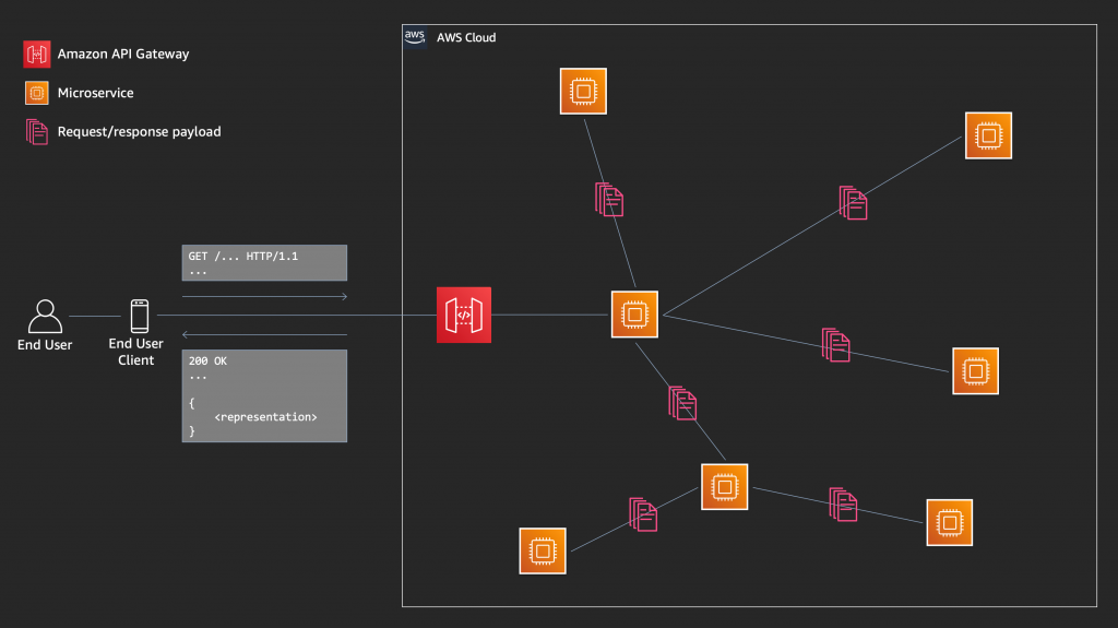 End User Client accessing a service using an API