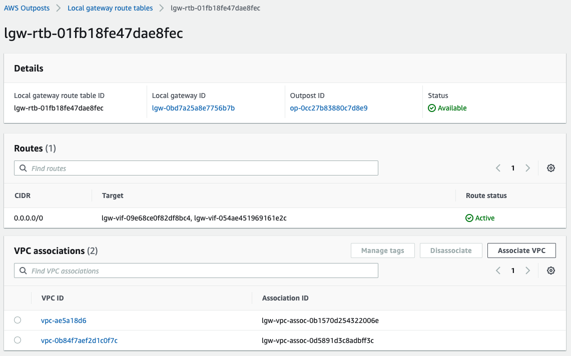 This enables routing to on-premises if a CoIP is assigned to an instance.