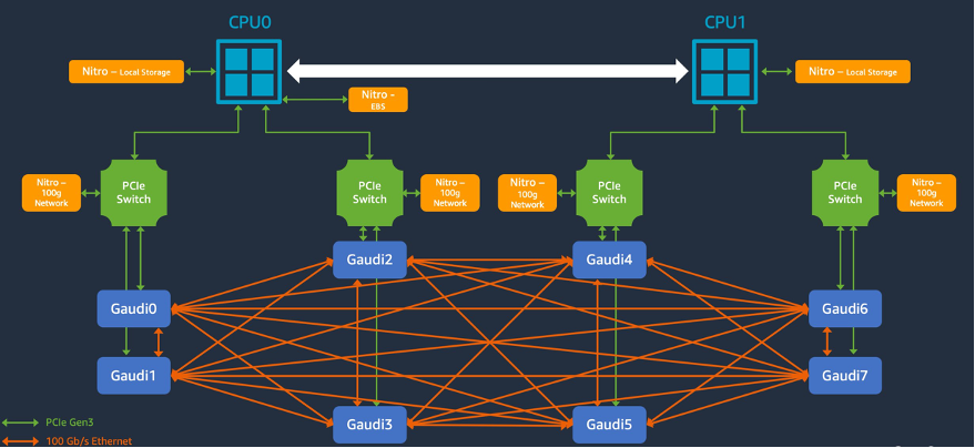 System architecture of the amazon ec2 dl1 instances.