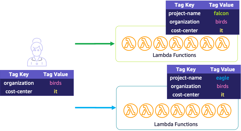 Organization and Cost Center tags