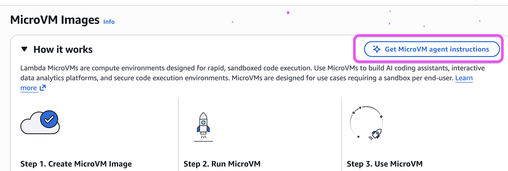 Figure 1: Access MicroVM agent instructions