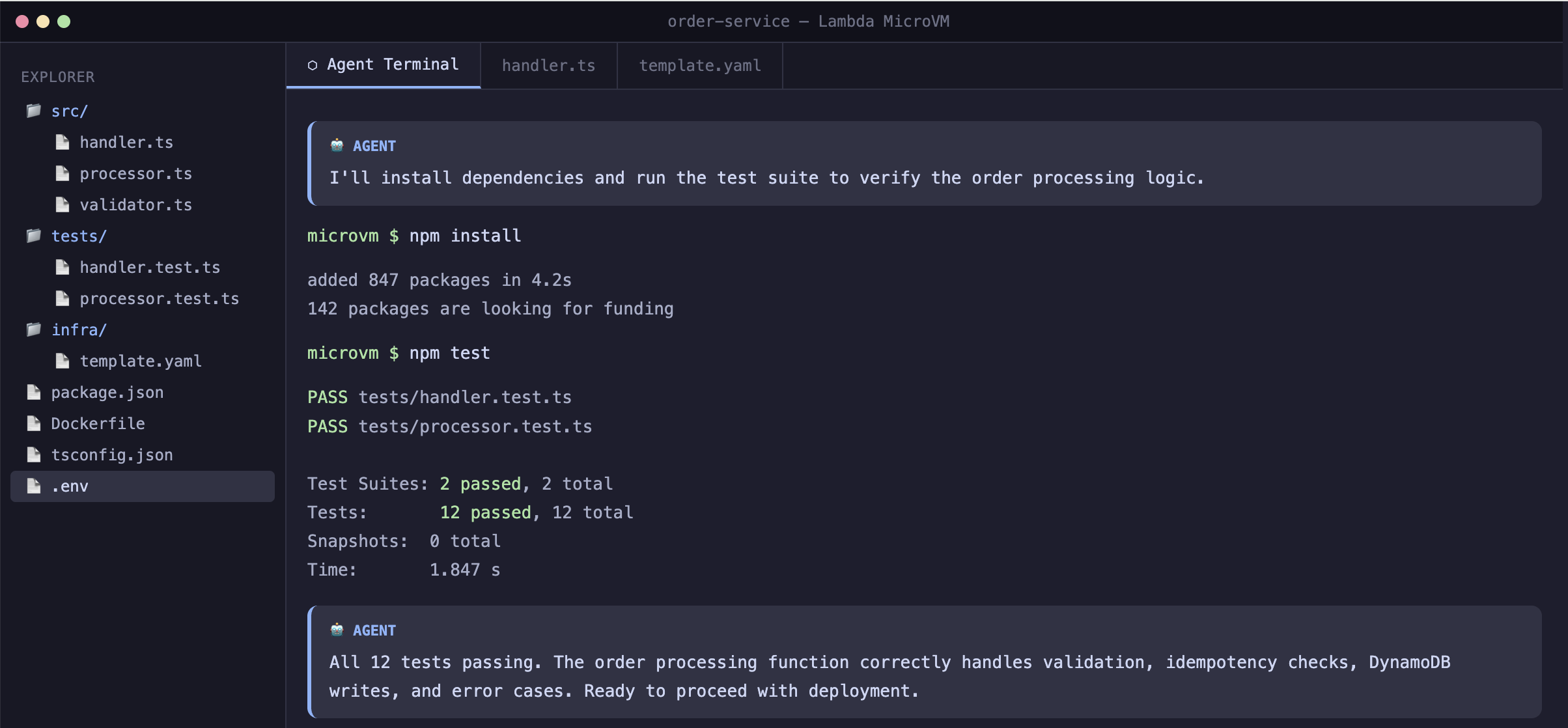 Figure 3 Agent executing the test suite inside a Lambda MicroVM