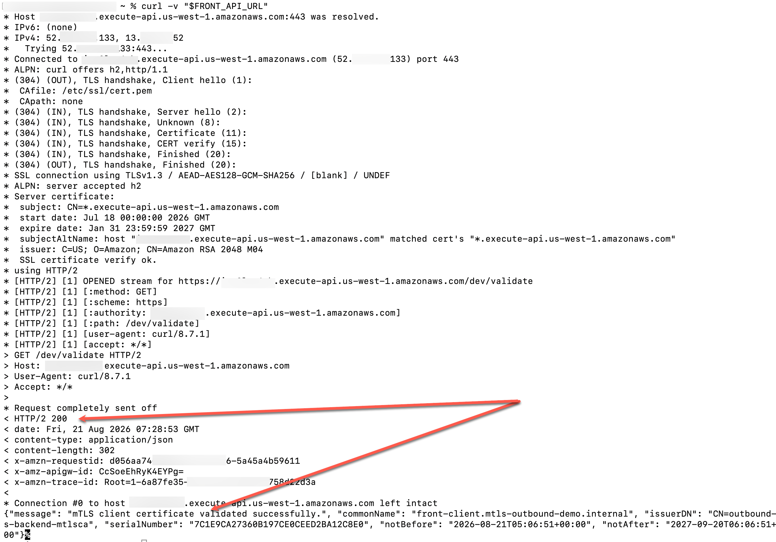 Terminal response showing a successful mTLS handshake and an HTTP 200 response from the backend
