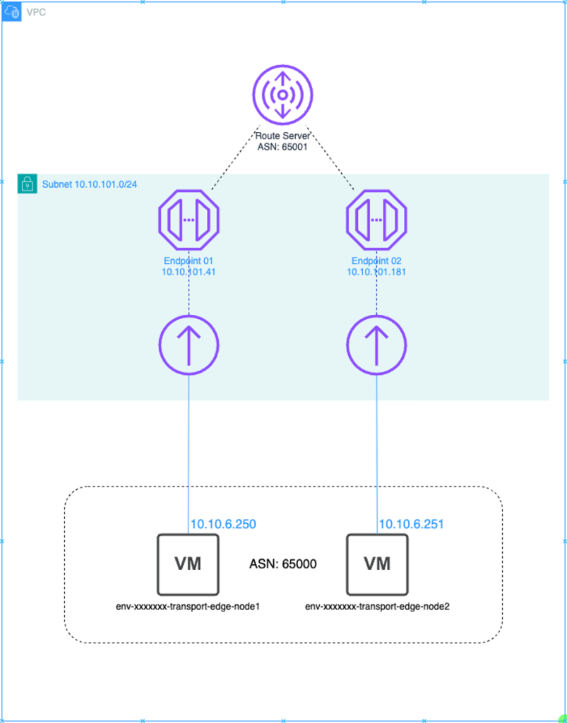 Figure 1: Default Route Server and NSX Edge Deployment