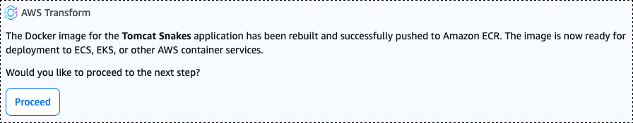 AWS Transform chat interface showing the container image being published to Amazon Elastic Container Registry. The agent displays the ECR repository details and confirms that automated security scans for Common Vulnerabilities and Exposures have been initiated.