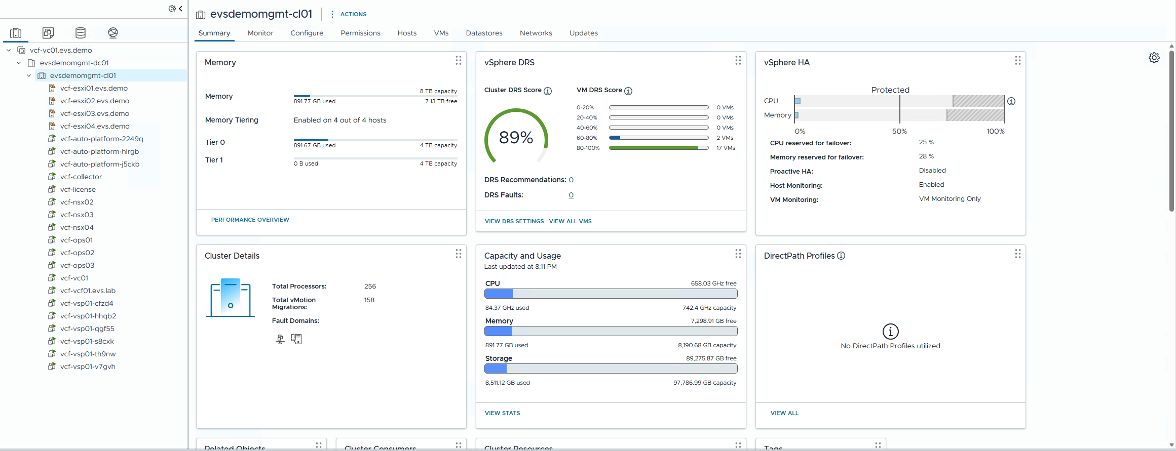 Cluster Summary tab showing Tier 0 and Tier 1 memory capacity