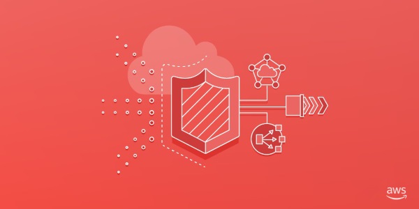 AWS Shield image