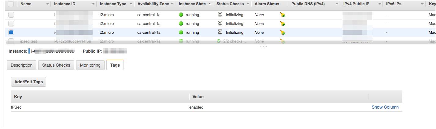 Figure 5: Look for the "enabled" value for the IPSec key