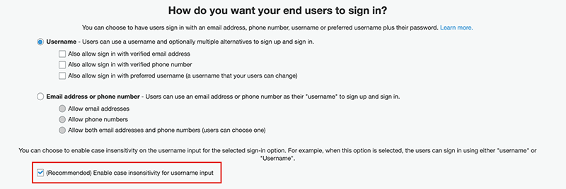 Figure 1: The case-insensitive user pool is selected by default