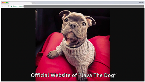 Figure 9: Java the Dog's homepage