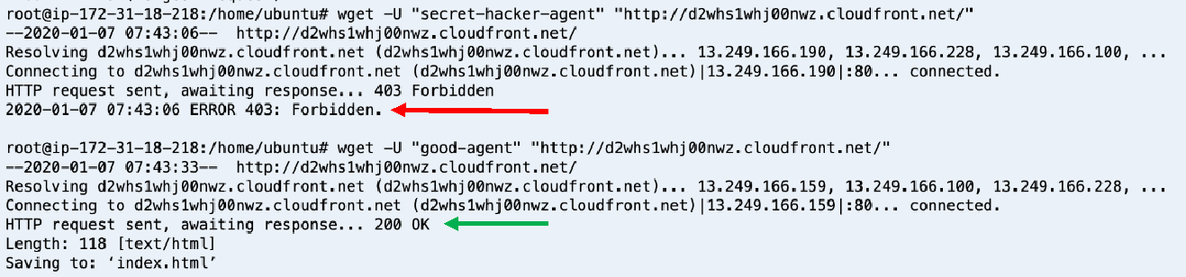 Figure 14: Command line screenshot of the 'wget' request