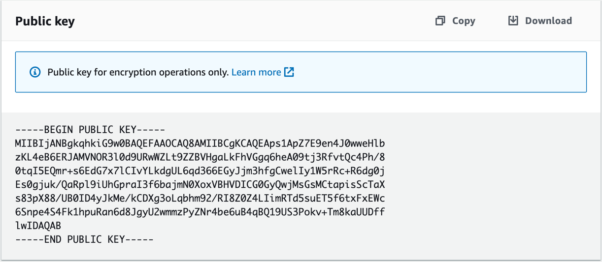 Figure 5: RSA public key available for copy or download in the console