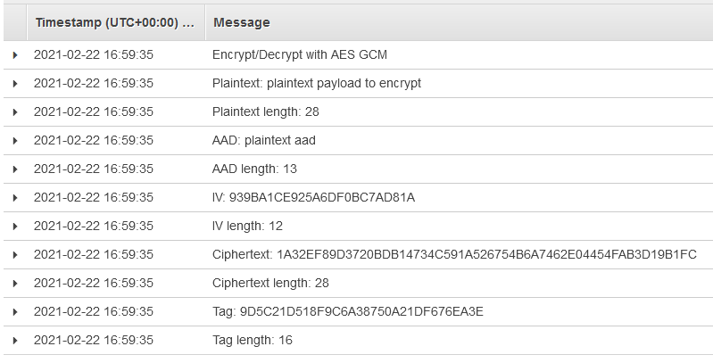 Figure 4: CloudWatch log output from our demo application