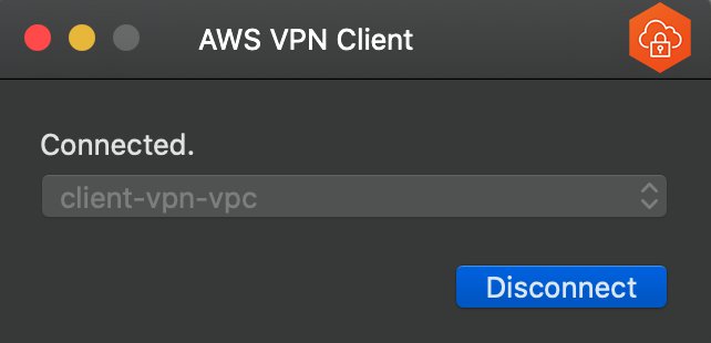 Figure 7: AWS Client VPN desktop application - established VPN connection