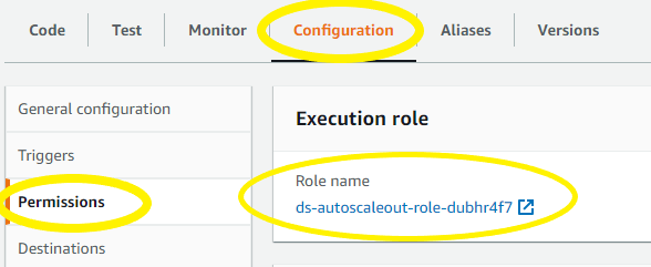 Figure 9: Select the Execution Role