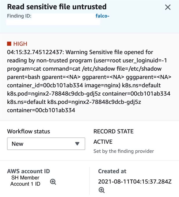 Figure 5: Sensitive file read finding - detail view