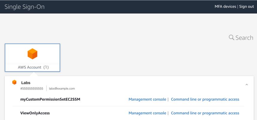 Figure 7: AWS IAM Identity Center showing AWS accounts that the user has access to