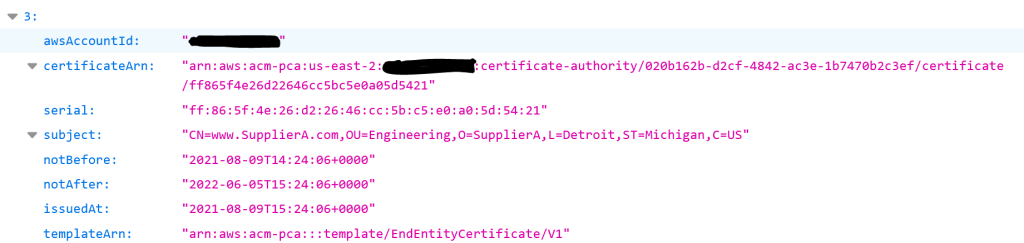 Figure 2: Audit report output for certificate issuance