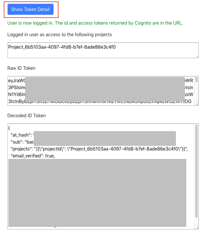 Figure 8: Token details displayed in the browser