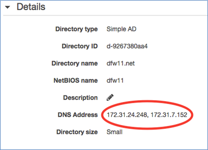 Image of two associated IP addresses displayed after a Simple AD directory has been provisioned