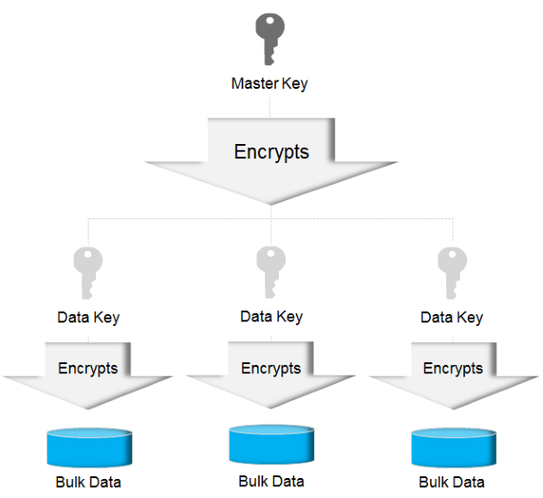 Diagram illustrating a simple key hierarchy and its relationship to encrypted (bulk) data