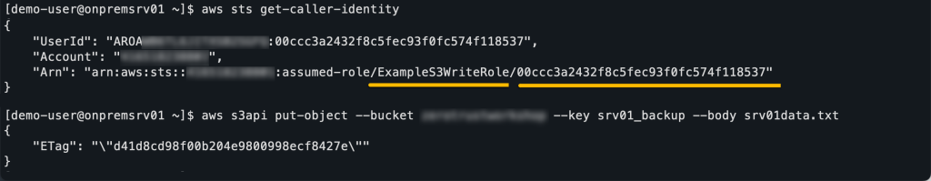 Figure 4: Verify the assumed role