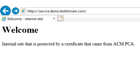 Figure 6: Internet Explorer showing that it trusts the TLS certificate