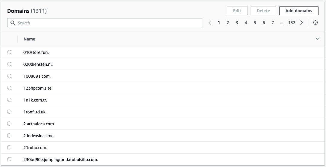 Figure 4: Console view of the created domain list after it has been updated by the Lambda function