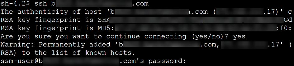 Figure 7: SSH connectivity to the domain was successful