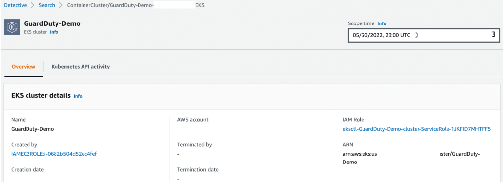 Figure 2: Detective summary page for EKS cluster metadata details