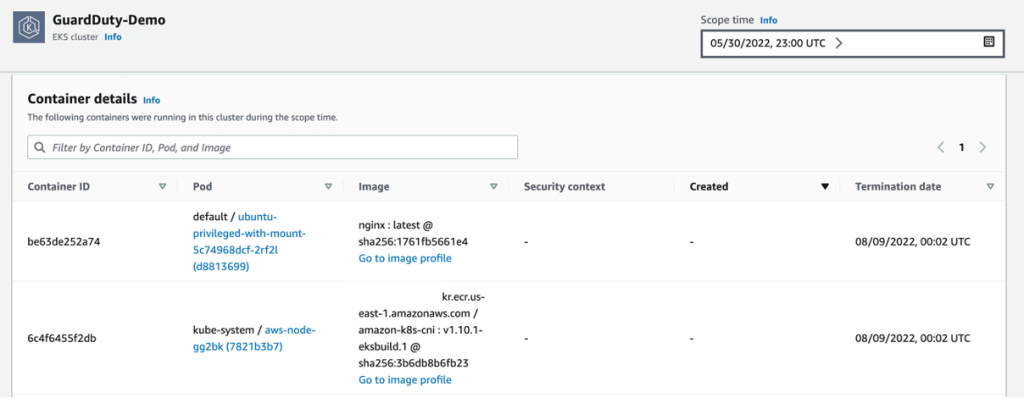 Figure 3: Detective summary page for EKS container metadata details