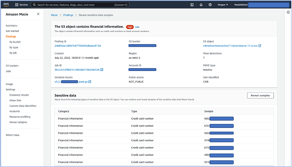 Figure 6: Examples of sensitive data revealed in the Amazon Macie console