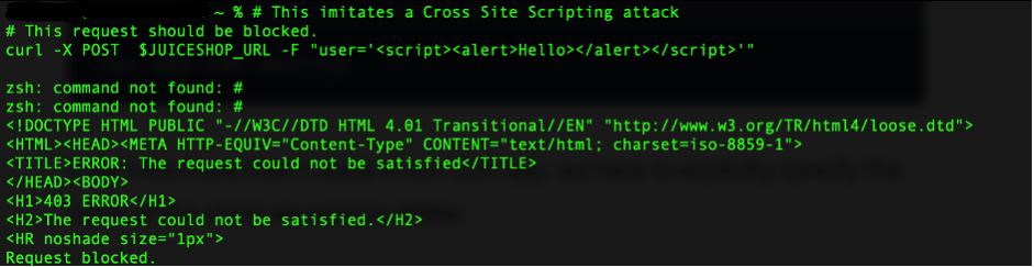 Figure 12: Blocking of cross-site scripting command