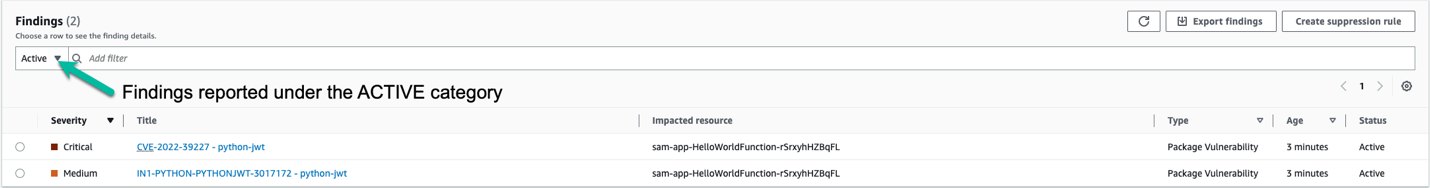 Figure 5: Example of findings from the Amazon Inspector console