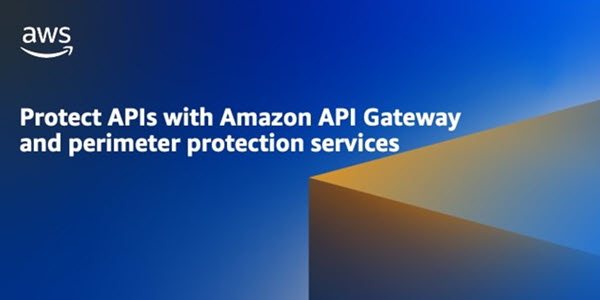 Protect APIs with Amazon API Gateway and perimeter protection services