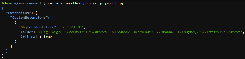 Figure 2: Viewing contents of api_passthrough_config.json