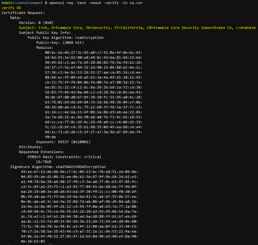 Figure 3: Reviewing CSR content using openssl