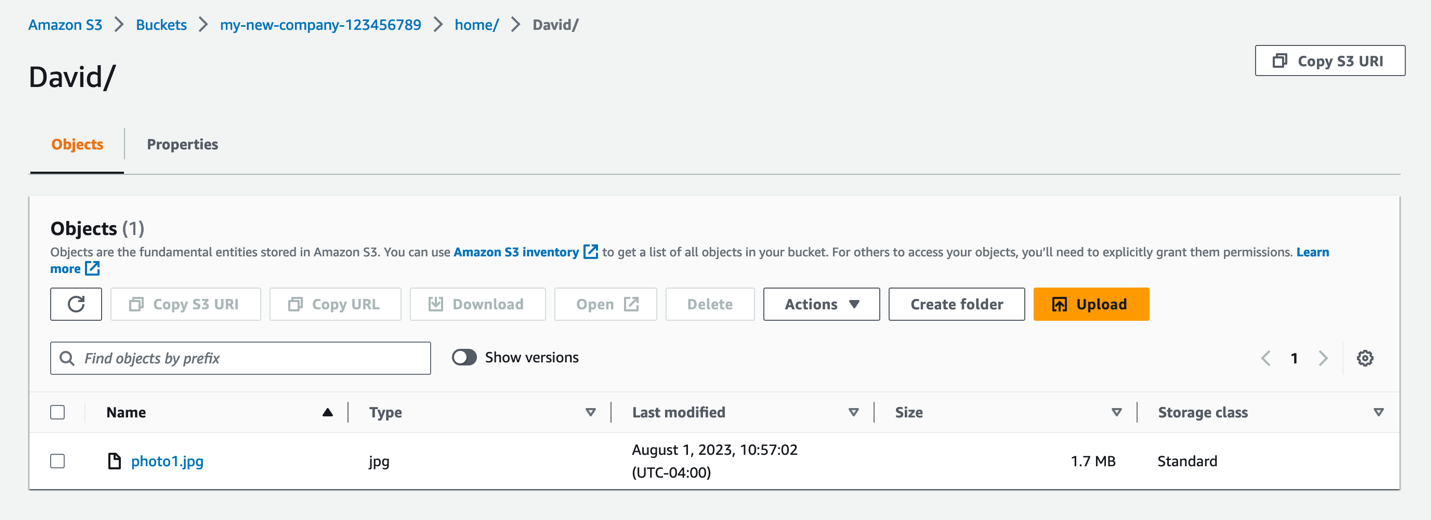 Figure 19: Screenshot of David’s S3 folder with access to a .jpg file inside.