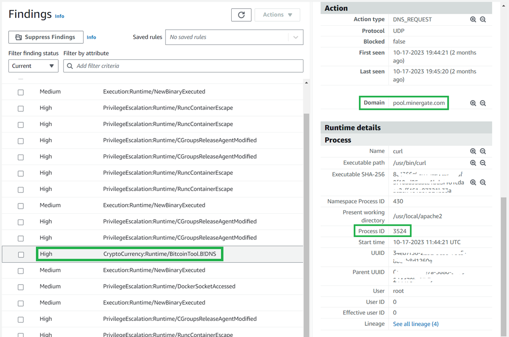 Figure 16: GuardDuty ECS example finding with action and process details