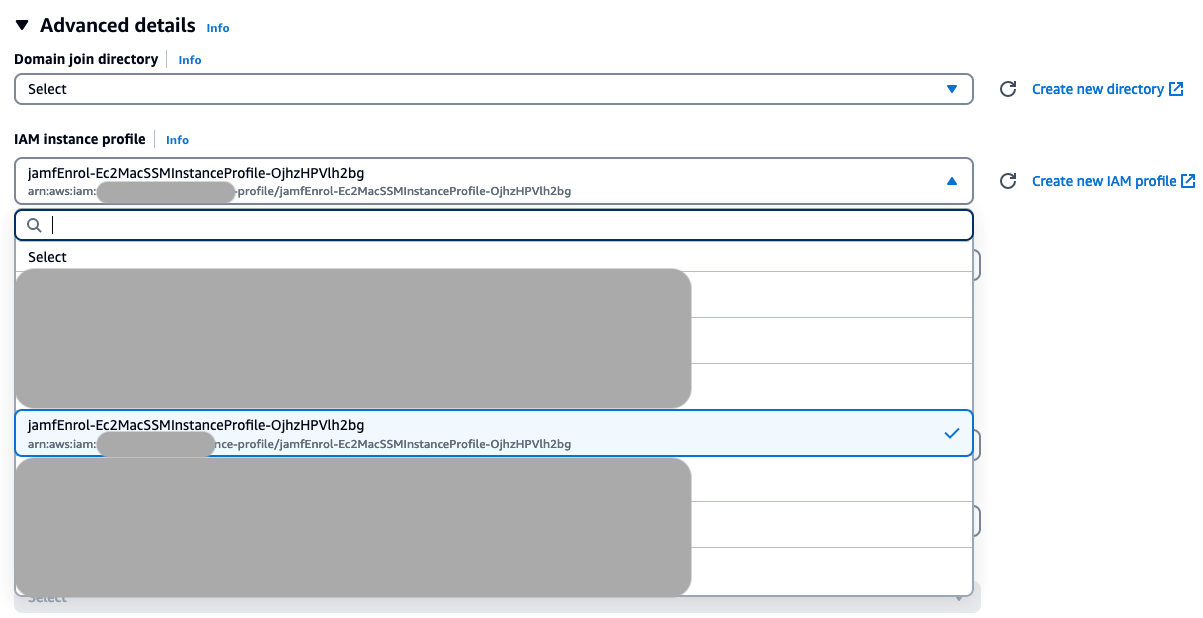 Figure 2: Advanced details pane showing the selected IAM instance profile