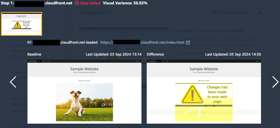 Figure 3: Failed canary run due to differences from the baseline screenshot