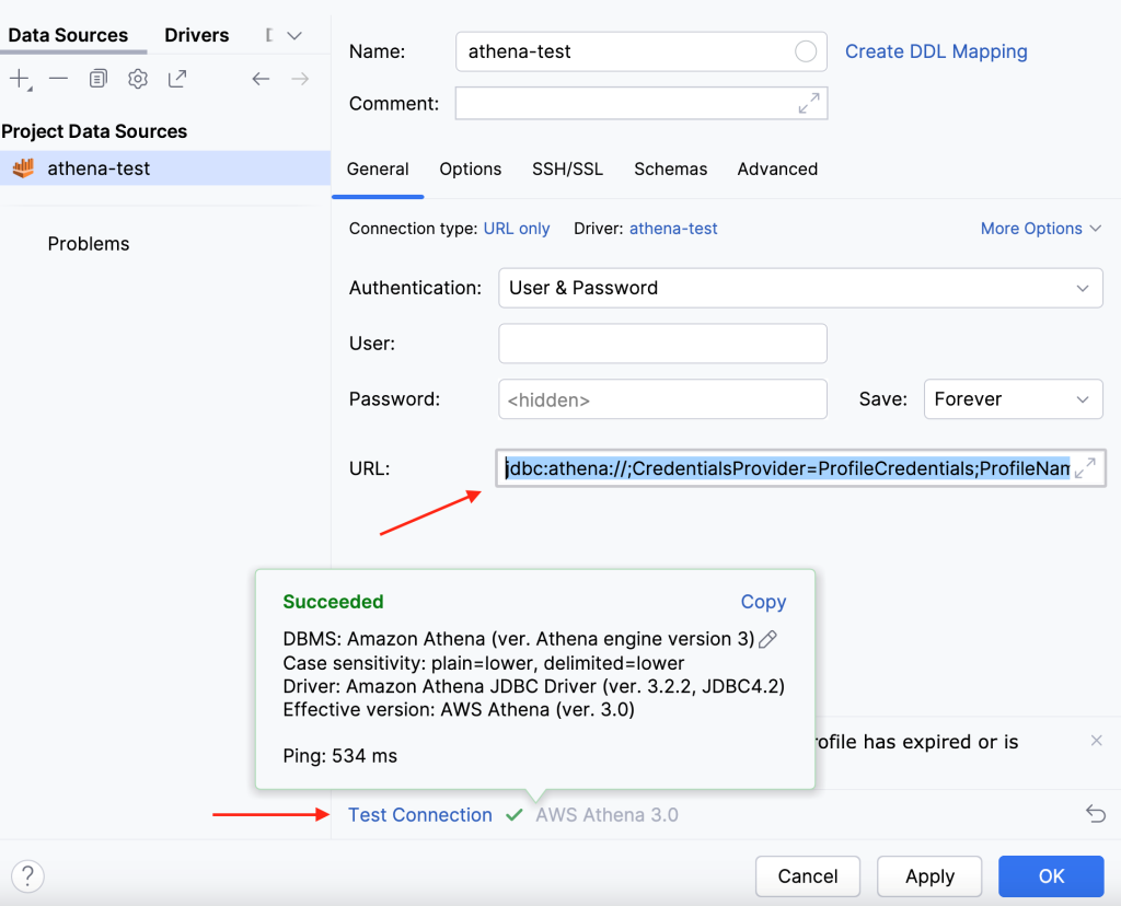 Figure 17: Test the data source connection